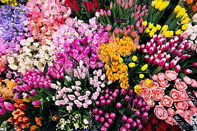 《泰坦之旅2》新更新概要 第二章新内容即将登场